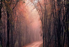 赛前速览：NBA常规赛次回合圣安东尼奥马刺对阵辽宁男篮，三大看点值得期待的简单介绍